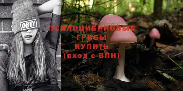 2c-b Балахна