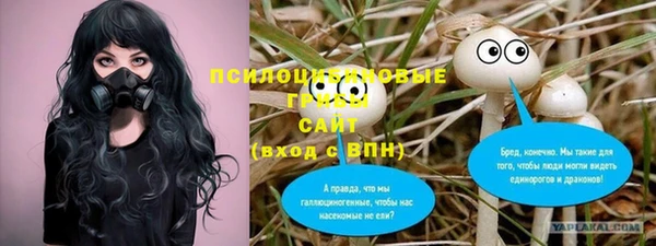 2c-b Балахна