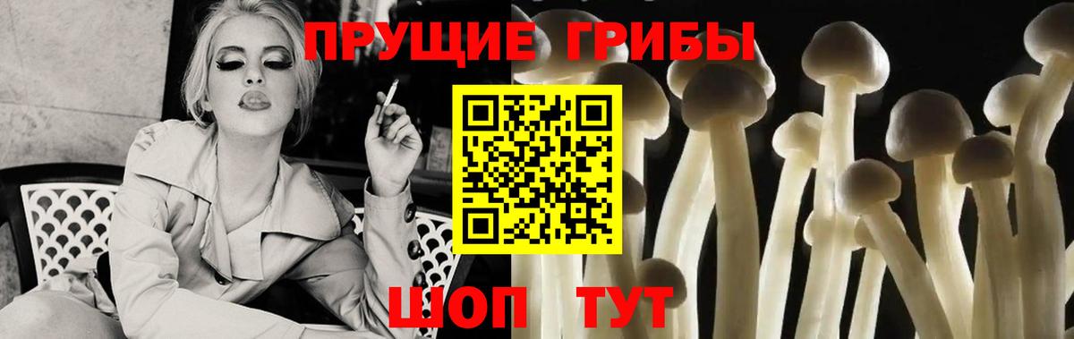 Галлюциногенные грибы GOLDEN TEACHER Белогорск