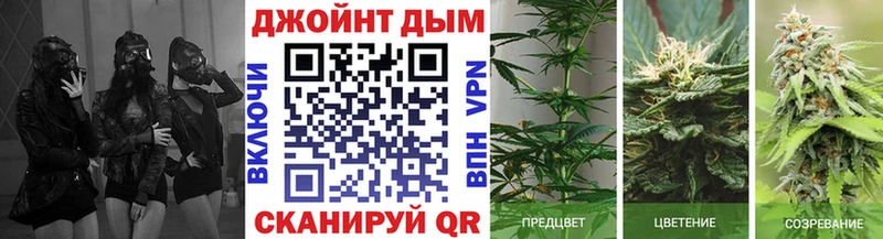 Шишки марихуана ГИДРОПОН  mega ТОР  Белогорск  закладки 